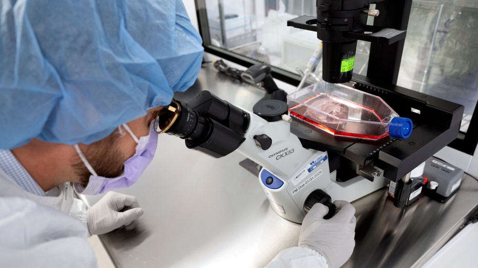 New cancer tech sends chemo straight to tumors Gold Coast Optometrists